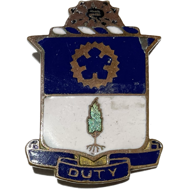 DUI, 21st Infantry Regiment, New Guinea, Philippines