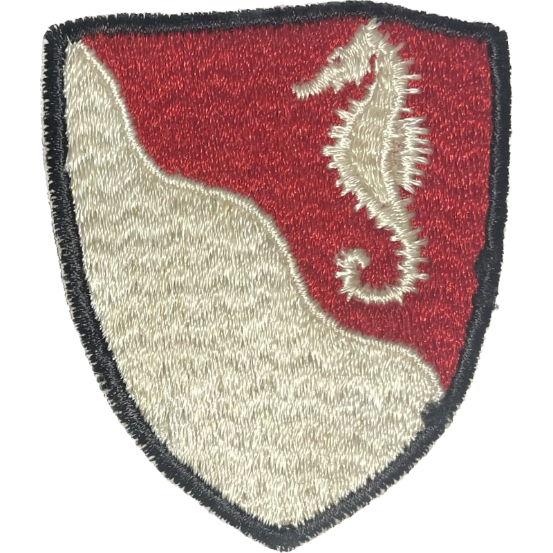 Insigne, 36th Engineer Group