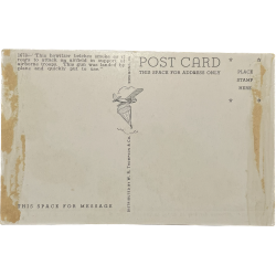 Postcard, US Paratroops, Camp Mackall