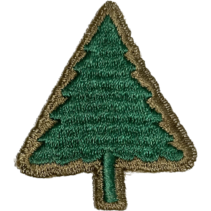 Insigne, 91st Infantry Division, bord vert, GEMSCO