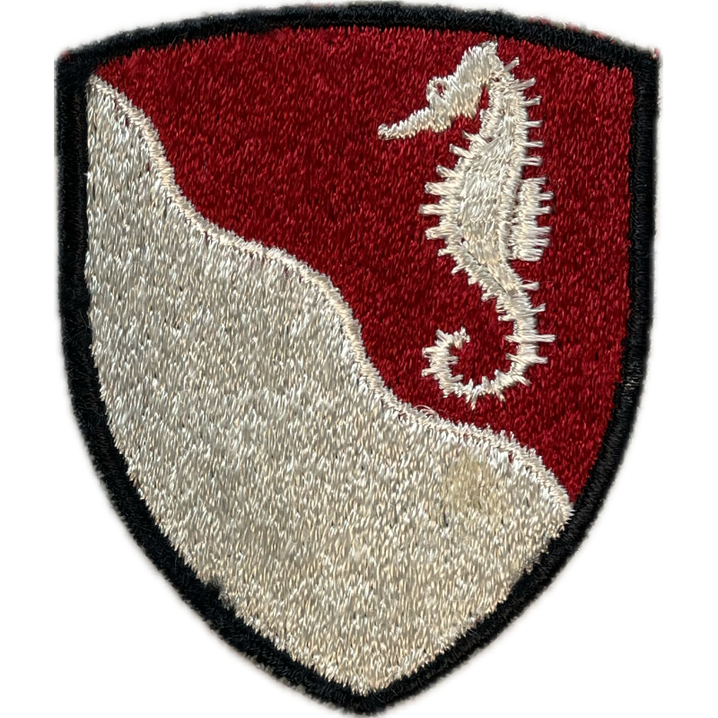 Insigne, 36th Engineer Group