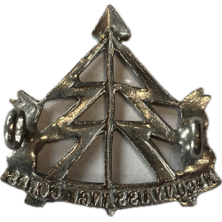 Insigne de col, Officier, Reconnaissance Corps, RECCE