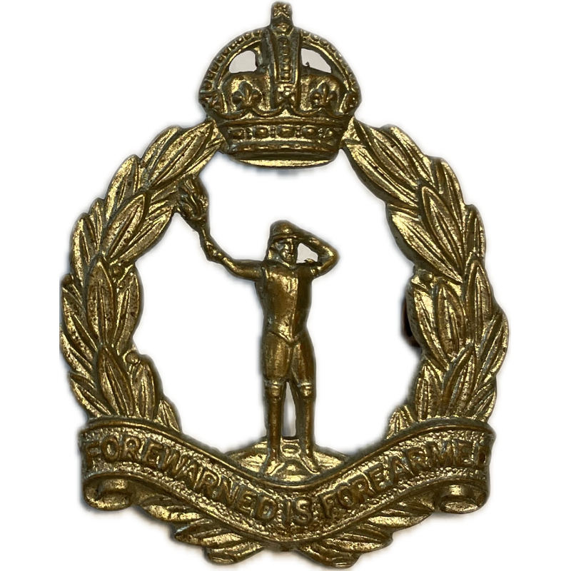 Cap Badge, Royal Observer Corps, RAF