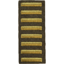 Overseas Service Bar, 48 months