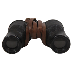 Binoculars, 6x30, M3, NASH-KELVINATOR CORP. 1943, with Case, Carrying, M17