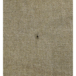 Trousers, Field, Wool Serge, Special, 32 x 29, 1943