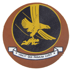 Insigne de poitrine, 1st Troop Carrier Command, en cuir