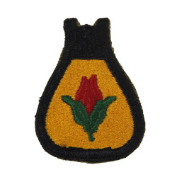 Insigne, 24th Cavalry Division