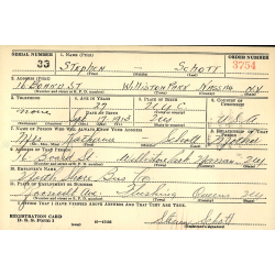 Grouping, Pfc. Stephen Schott, Co. E, 115th Inf. Regt., 29th Infantry Division, WIA, ETO