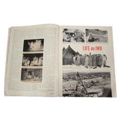 Magazines, Lot of Five, AIR FORCE, 1943-1945