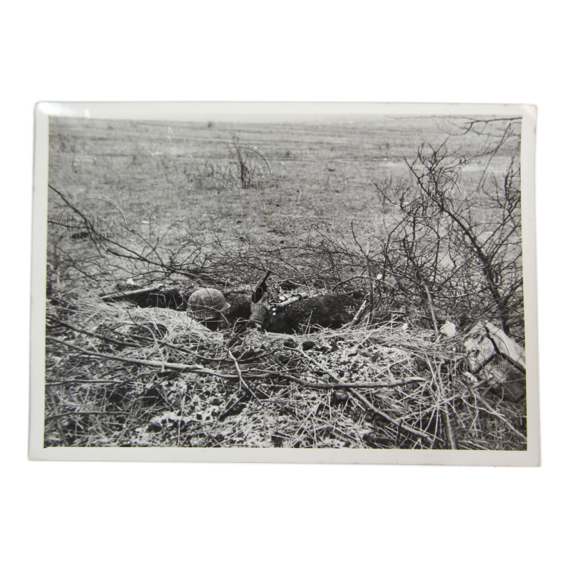 Photograph, Legion „Flandern“, Ersatzkommando Flandern u. Wallonien d. Waffen-ᛋᛋ, Eastern Front