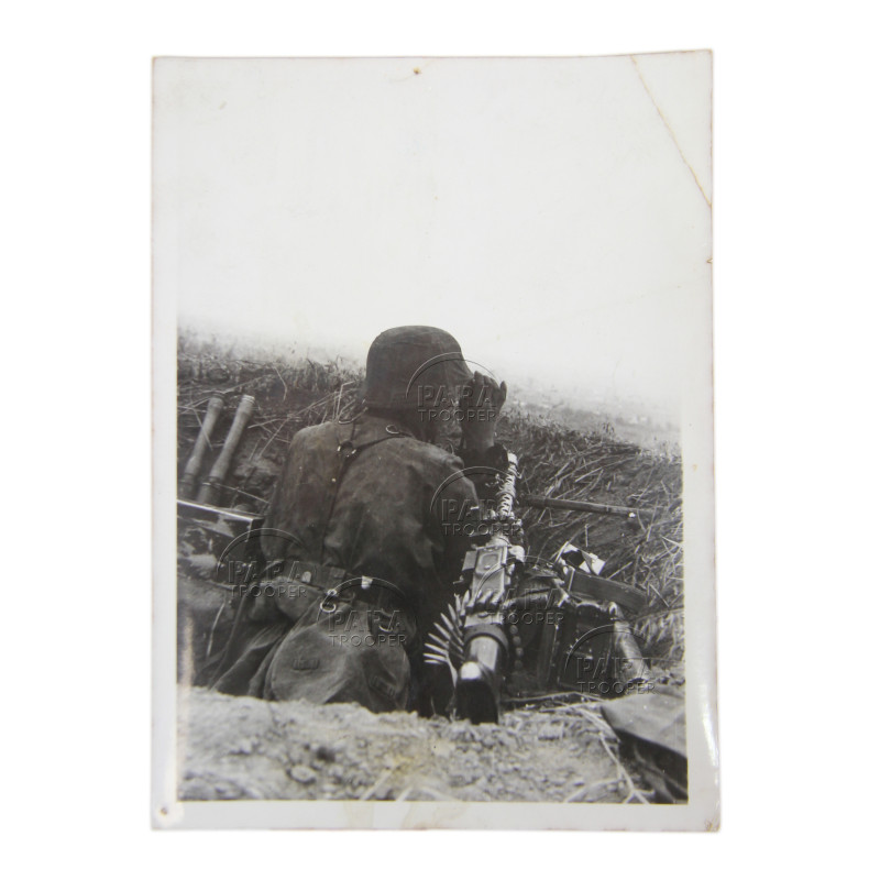 Photograph, 5. ᛋᛋ-Panzerdivision „Wiking“, Eastern Front, 1942