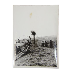 Photograph, 5. ᛋᛋ-Panzerdivision „Wiking“, Eastern Front, 1942