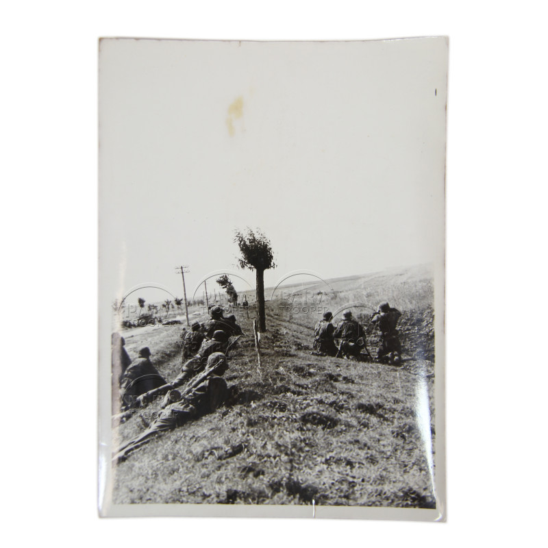 Photograph, 5. ᛋᛋ-Panzerdivision „Wiking“, Eastern Front, 1942