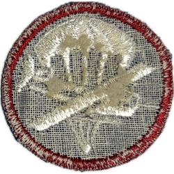 Insigne de calot, Airborne, troupe, Twill