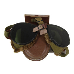 Lunettes de protection, Ski-Mountain Goggles, US Army