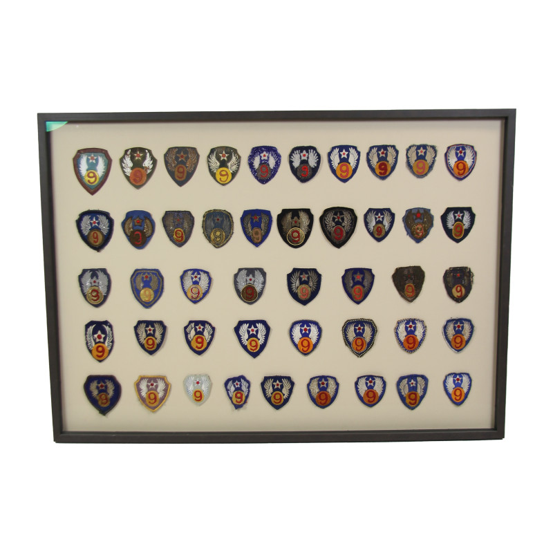 Frame, 9th Air Force, USAAF, 45 Insignia