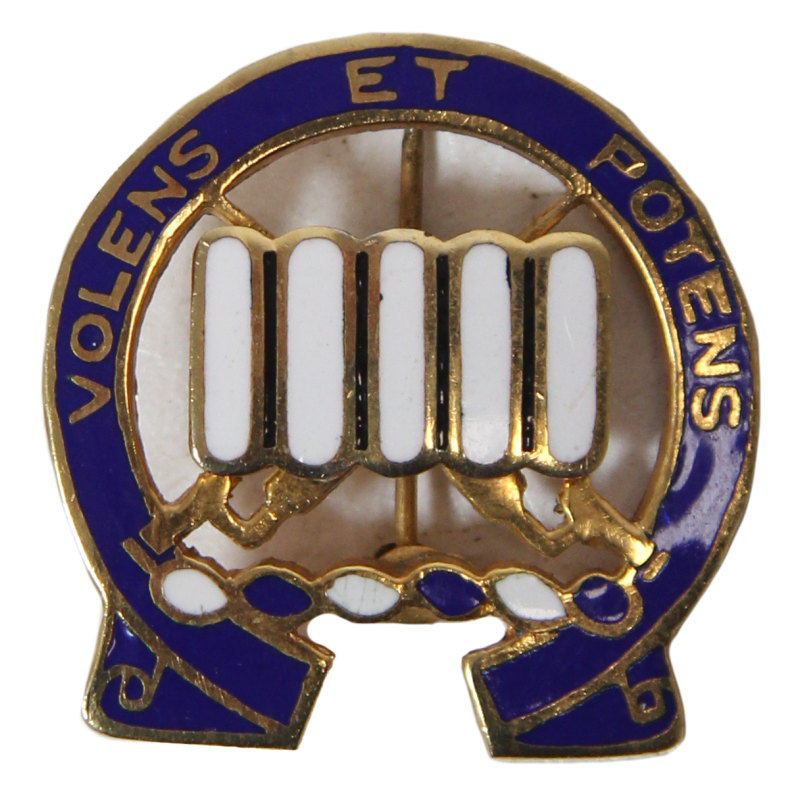 Crest, 7th Inf. Rgt., 3rd Inf. Div., à épingle