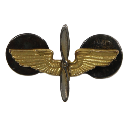 Insignia, Collar, Officer, USAAF, 'Snowflake'