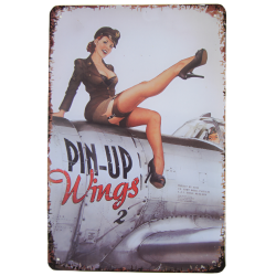 Plate, Metal, Pin-Up wings