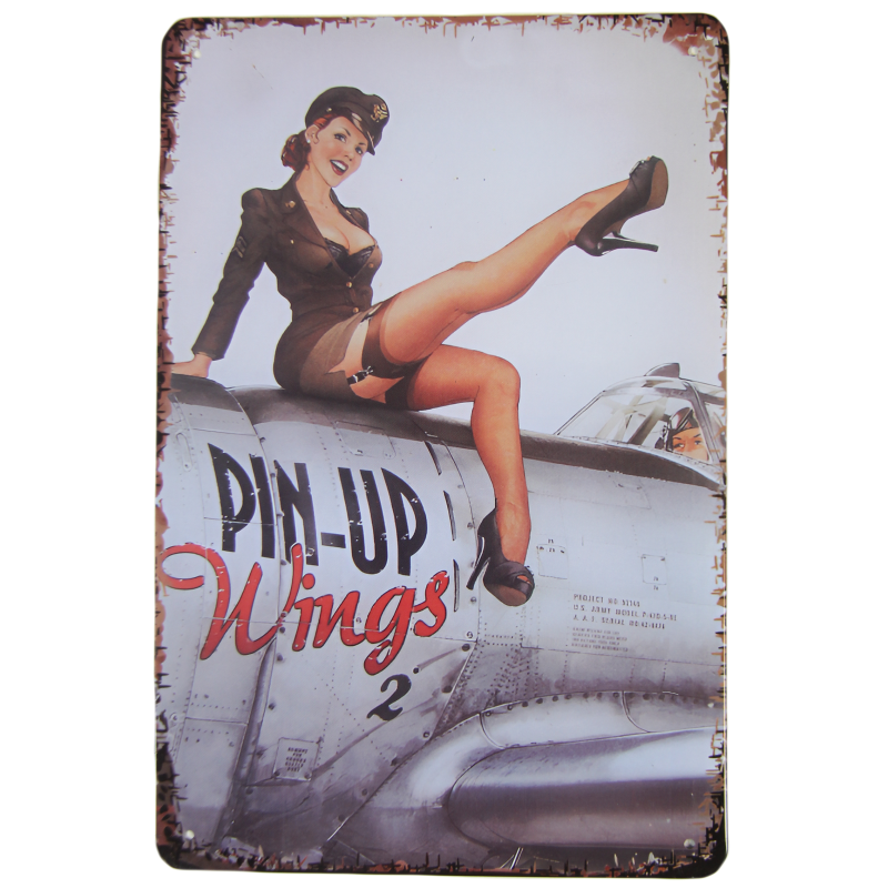 Plaque, Pin-Up Wings