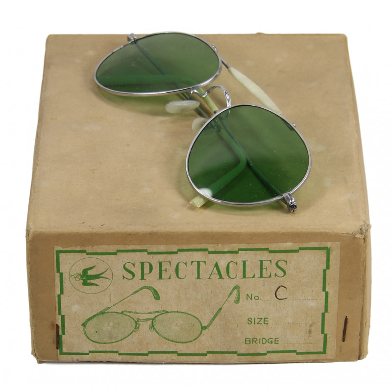 type Ray-Ban, Spectacles 